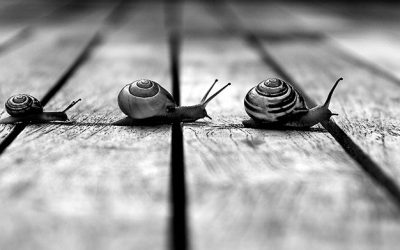 Ideas para vivir sin prisa